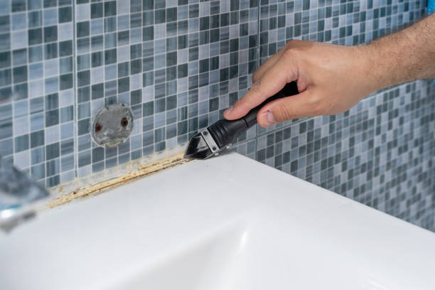 Best Residential Mold Removal  in Roosevelt, NY